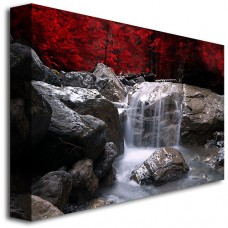 Trademark Art "Red Vison" Canvas Wall Art by Philippe Sainte-Laudy   552079876